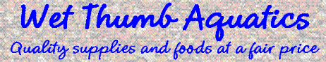 index.1.gif (5149 bytes)