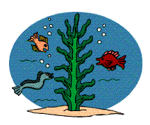 titlepic.GIF (9113 bytes)